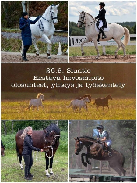 Kestävä hevosenpito -olosuhteet, yhteys ja työskentely